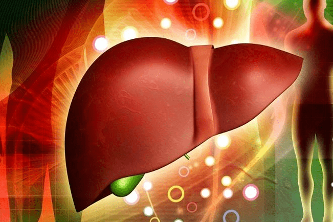 the effect of potency drugs on the liver