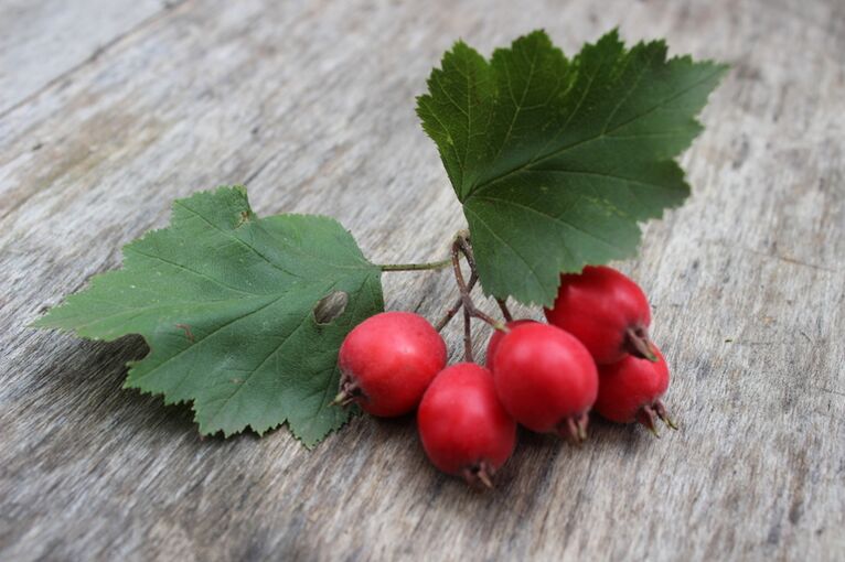 Hawthorn fruits increase male libido and strengthen erections